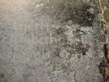 image of grave number 842535
